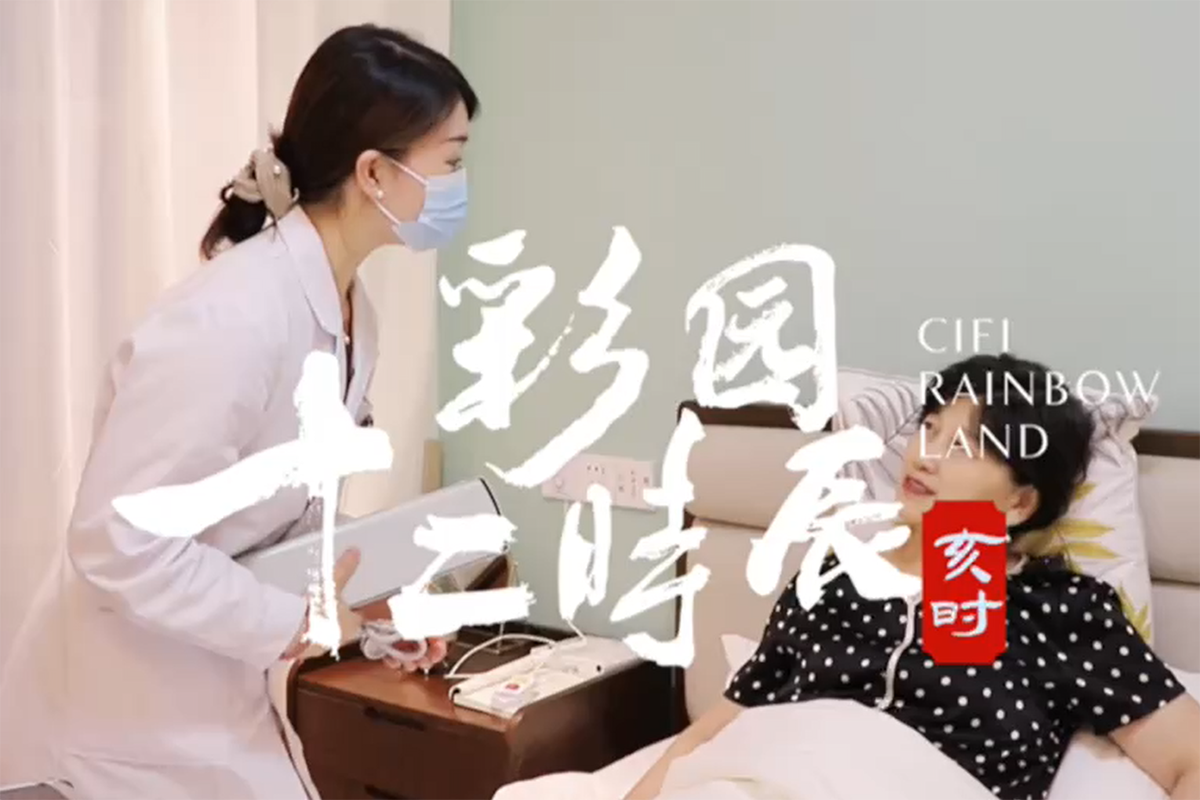 彩园十二时辰-亥时